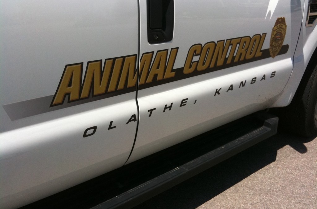 Animal Control